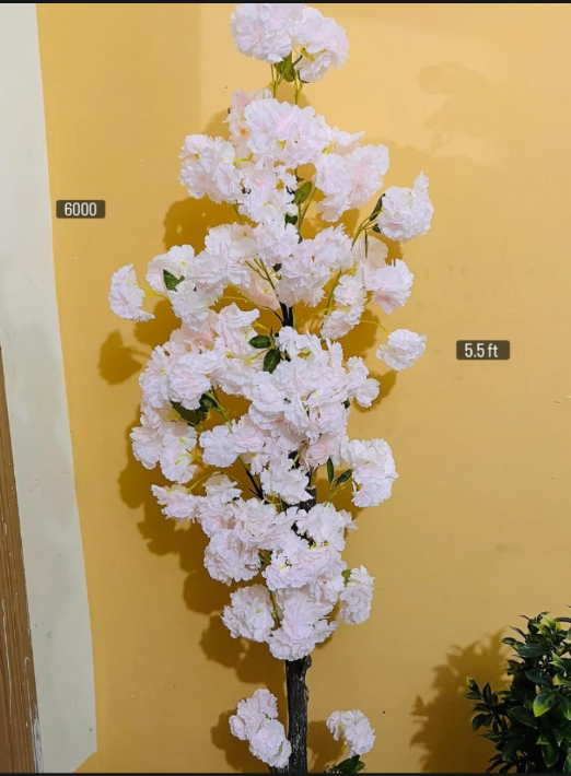 5.5ft White plant