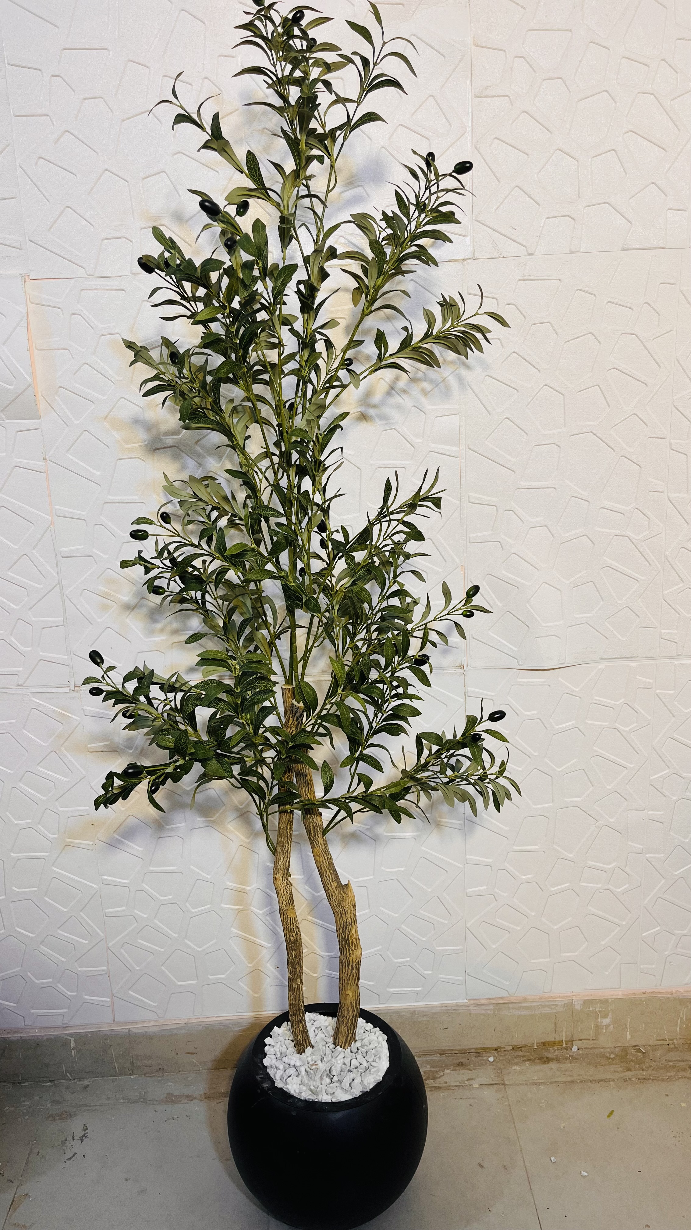 6 ft olive with pot and stones