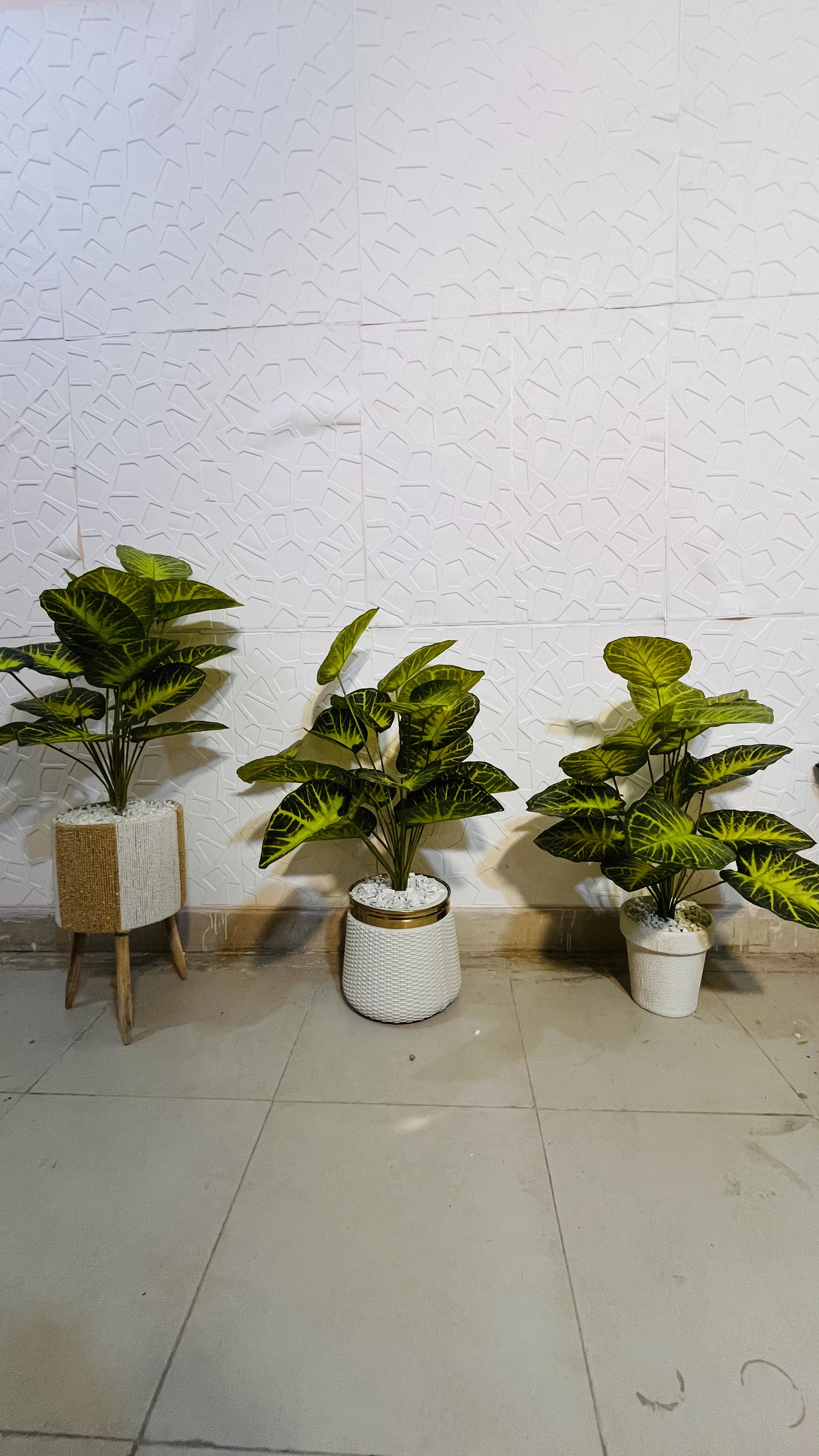 3.5 ft plant with basket