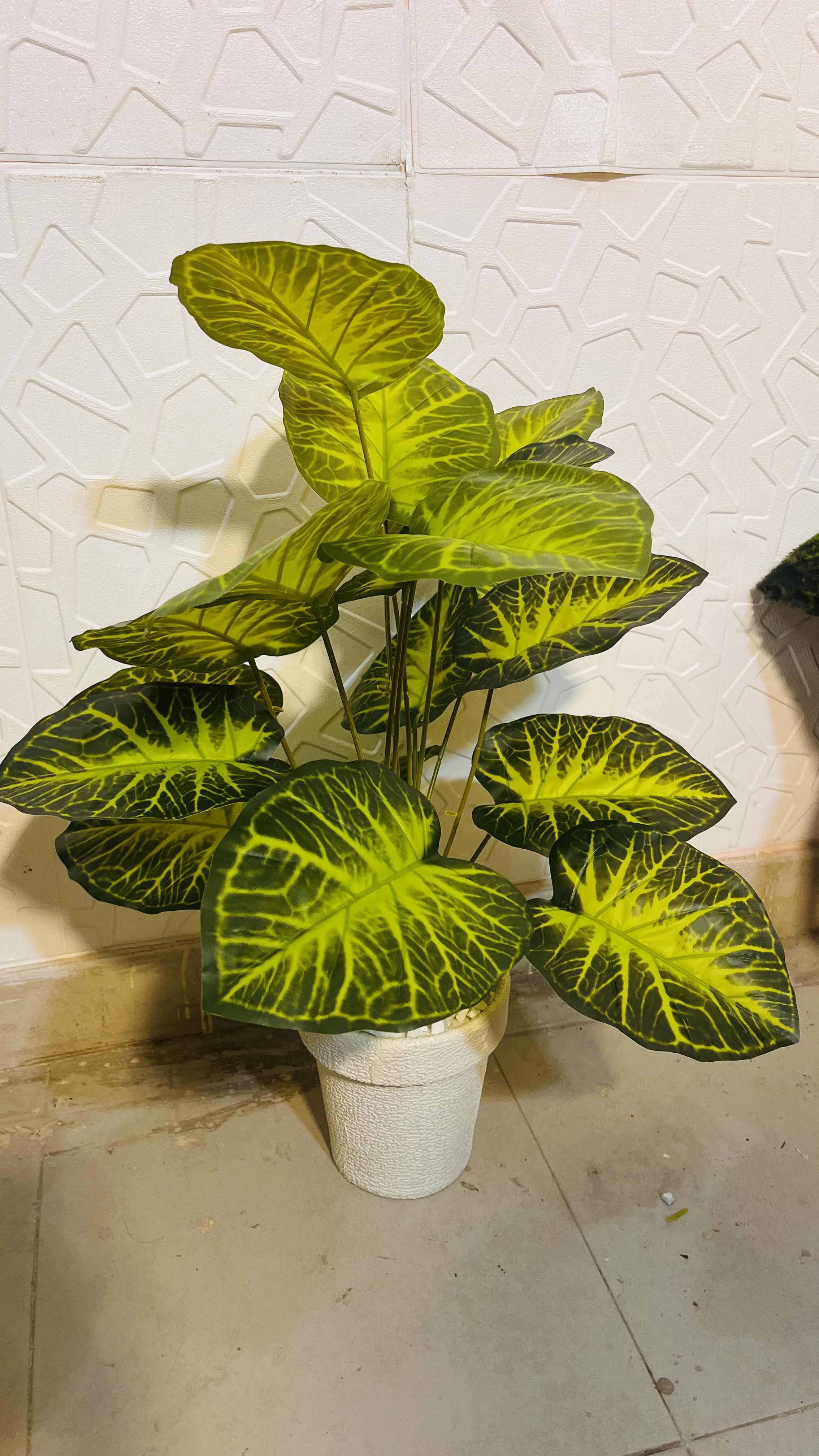 3.5 ft plant with basket — view 2