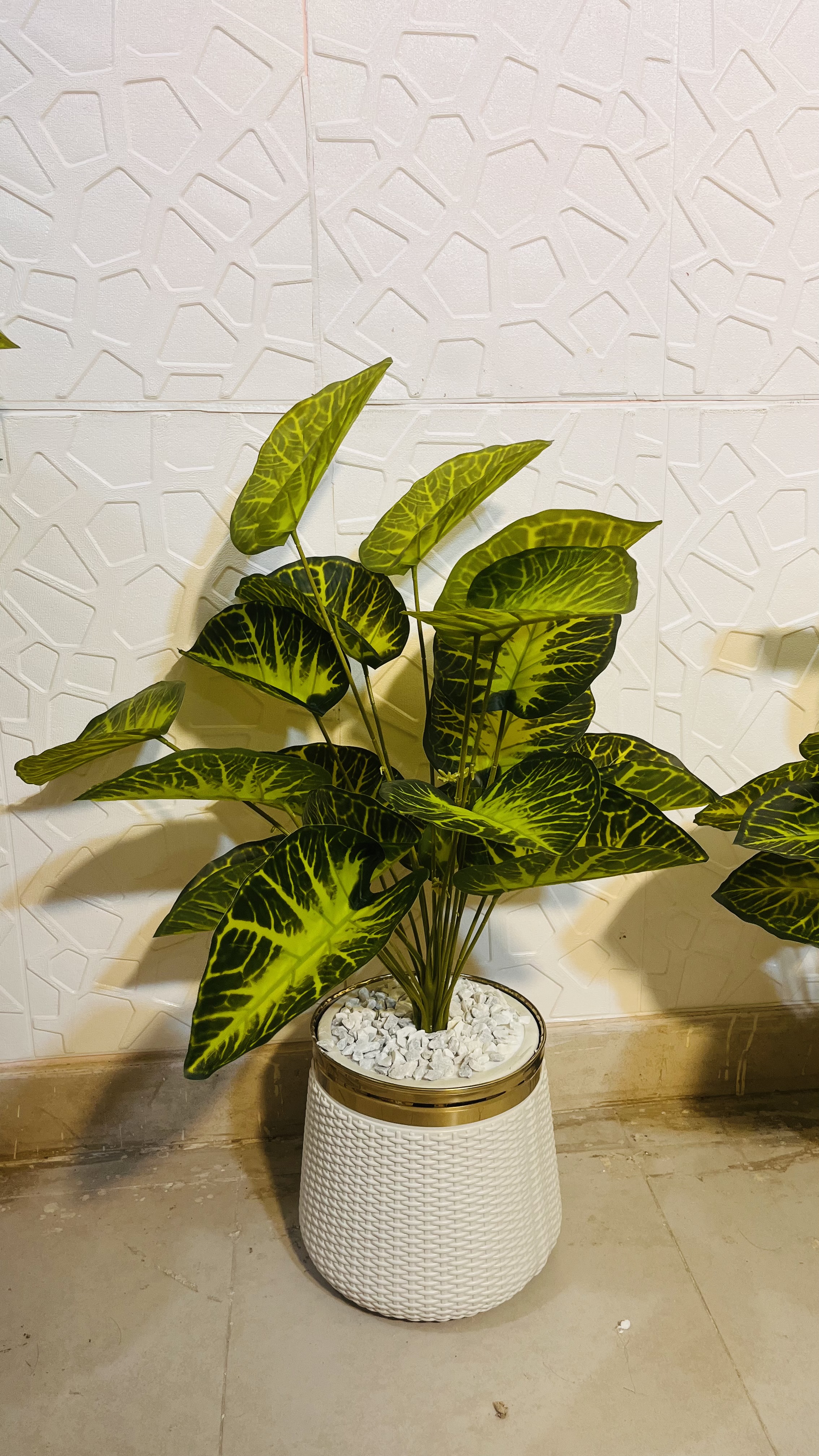 3.5 ft plant with basket view 3