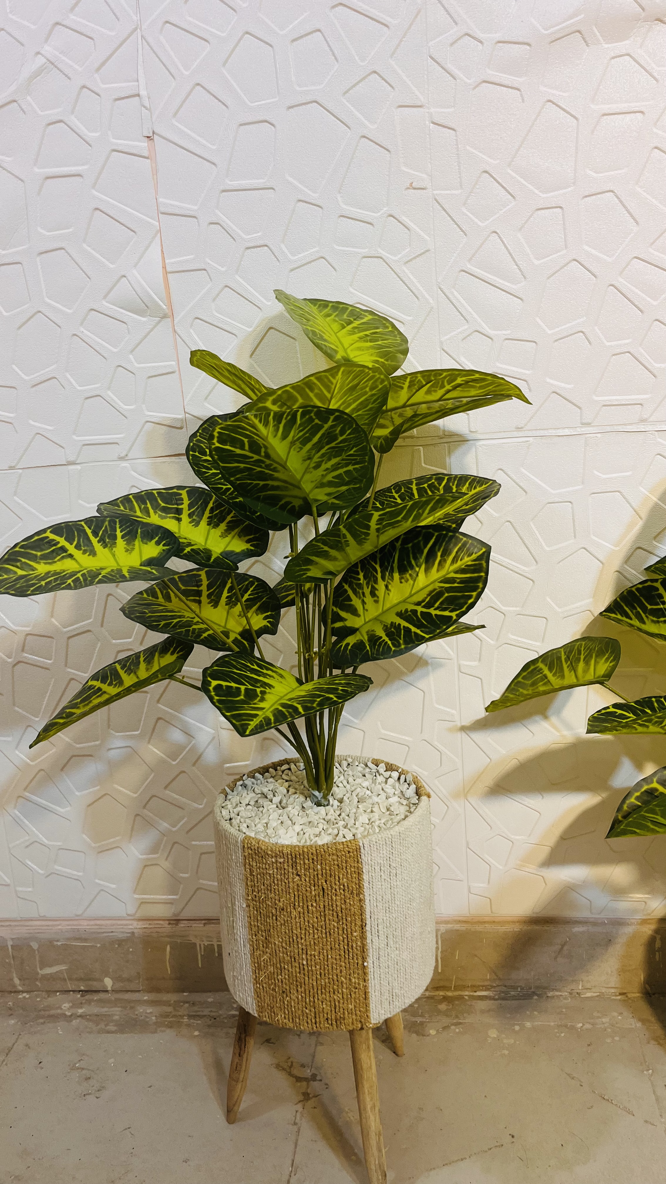 3.5 ft plant with basket view 4