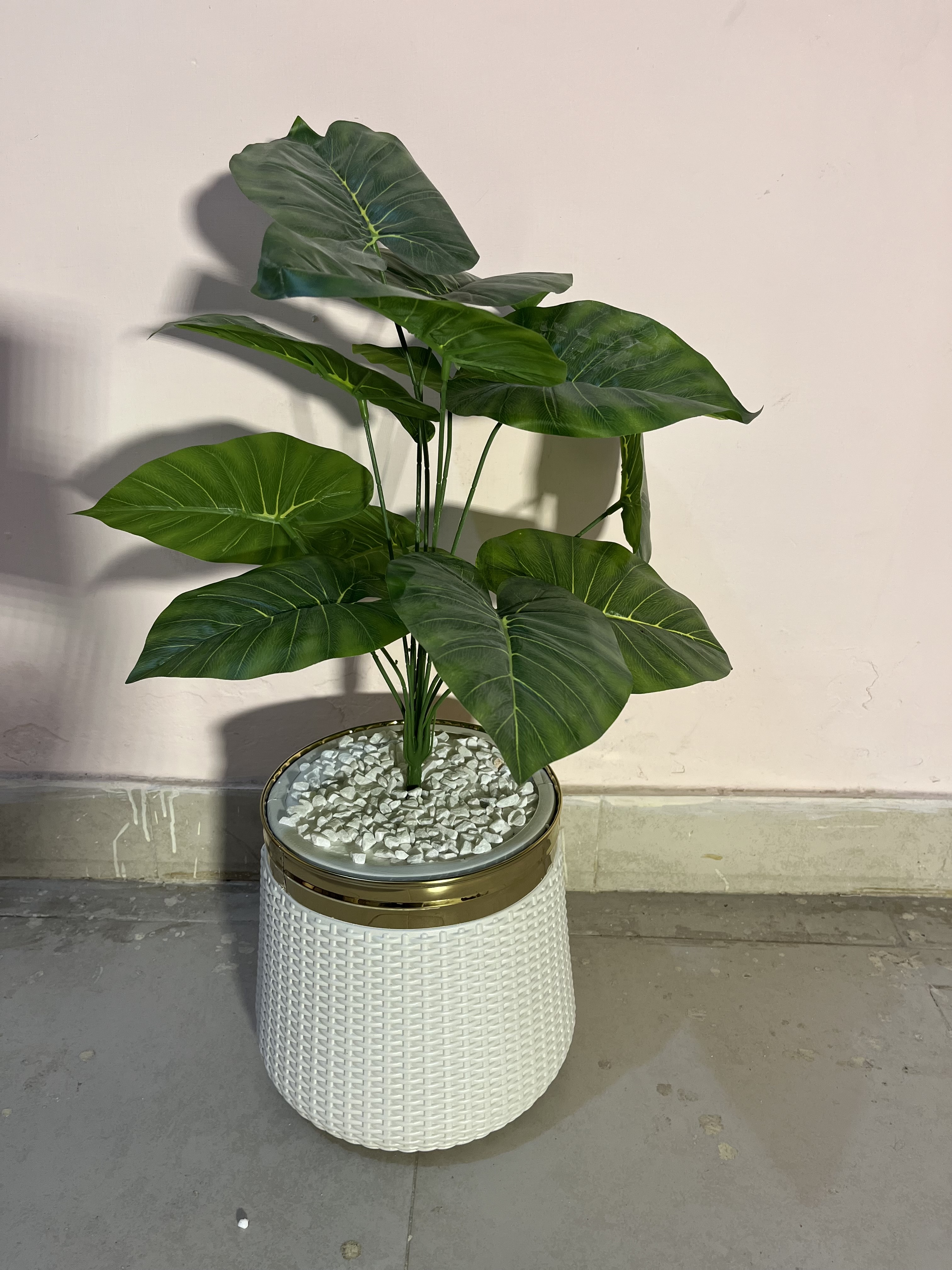 Plant +pot+ stones 2ft size