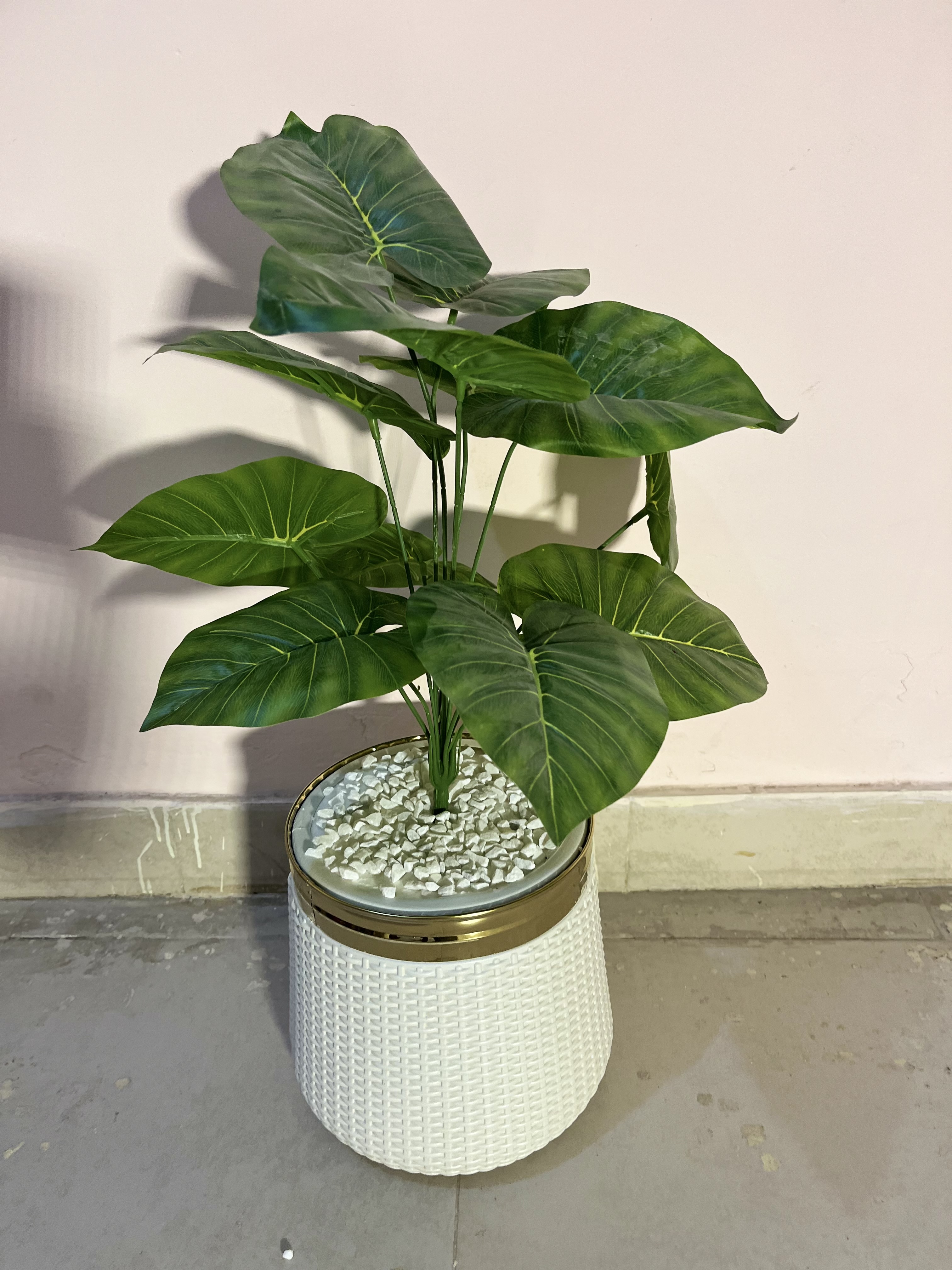 Plant +pot+ stones 2ft size — view 2