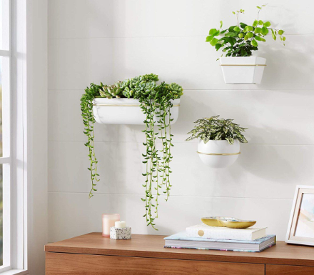 Planters