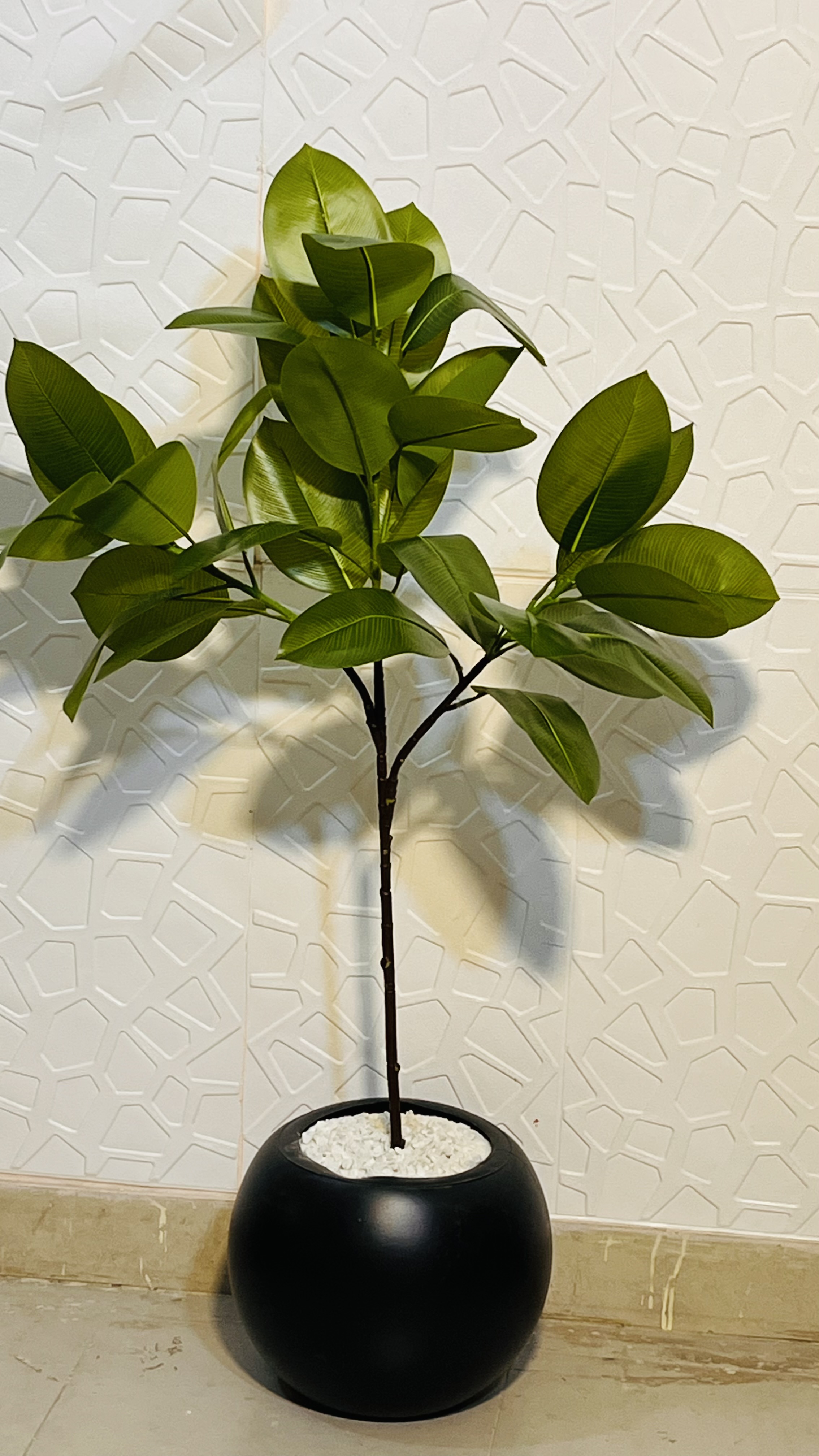 3.5 plant with round pot