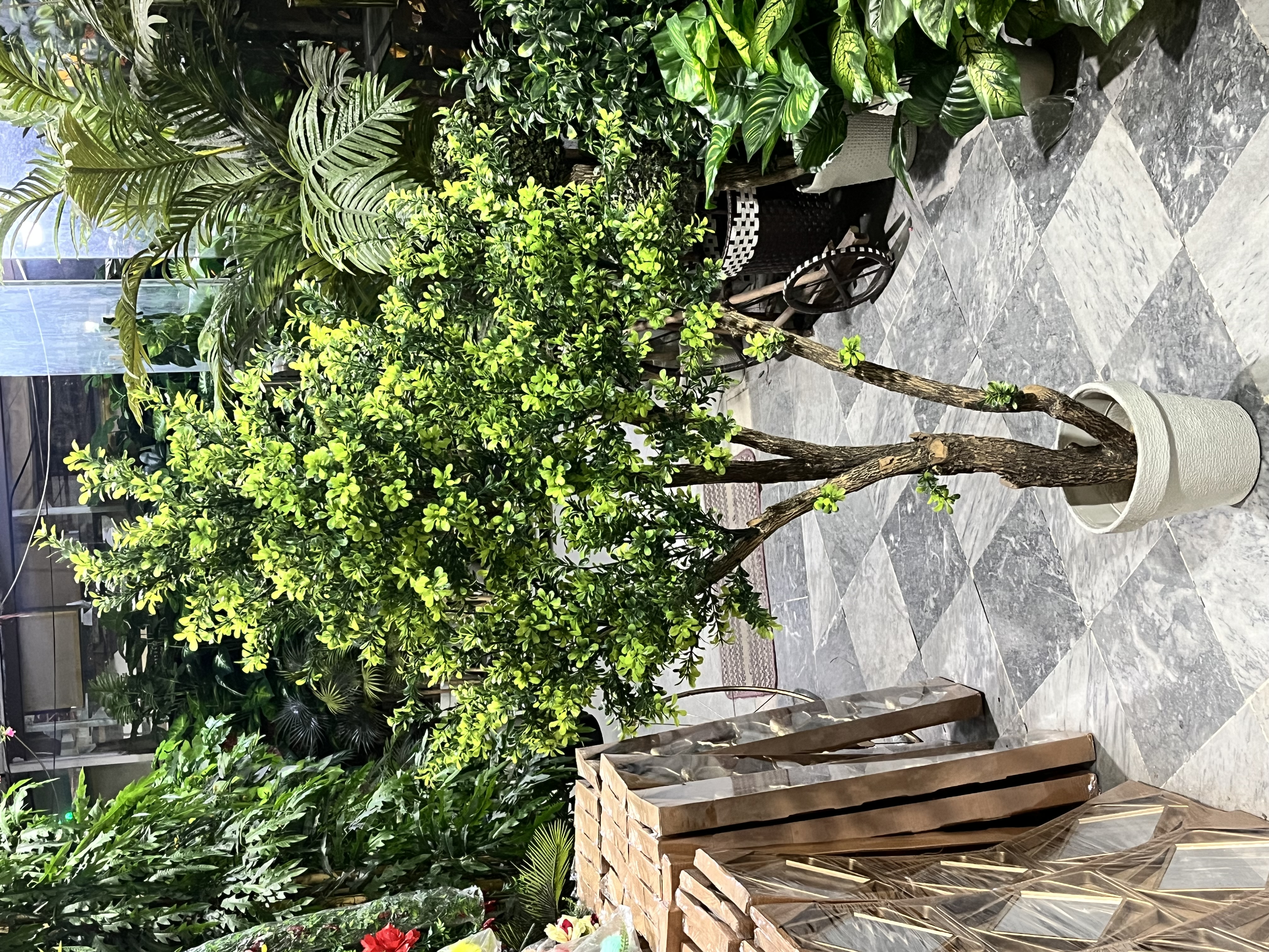 5ft green plant 