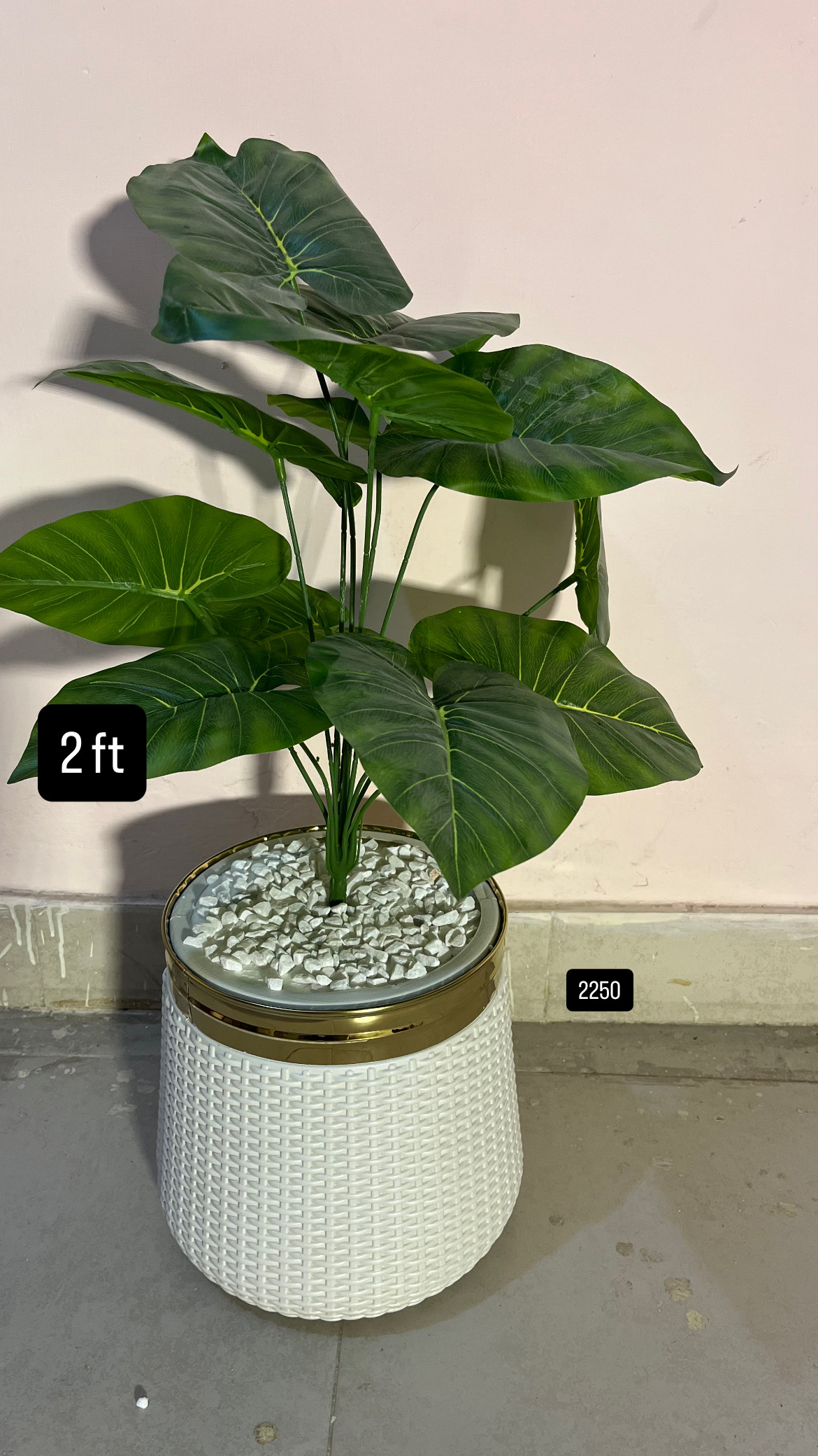 2 ft plant pot and stones included 