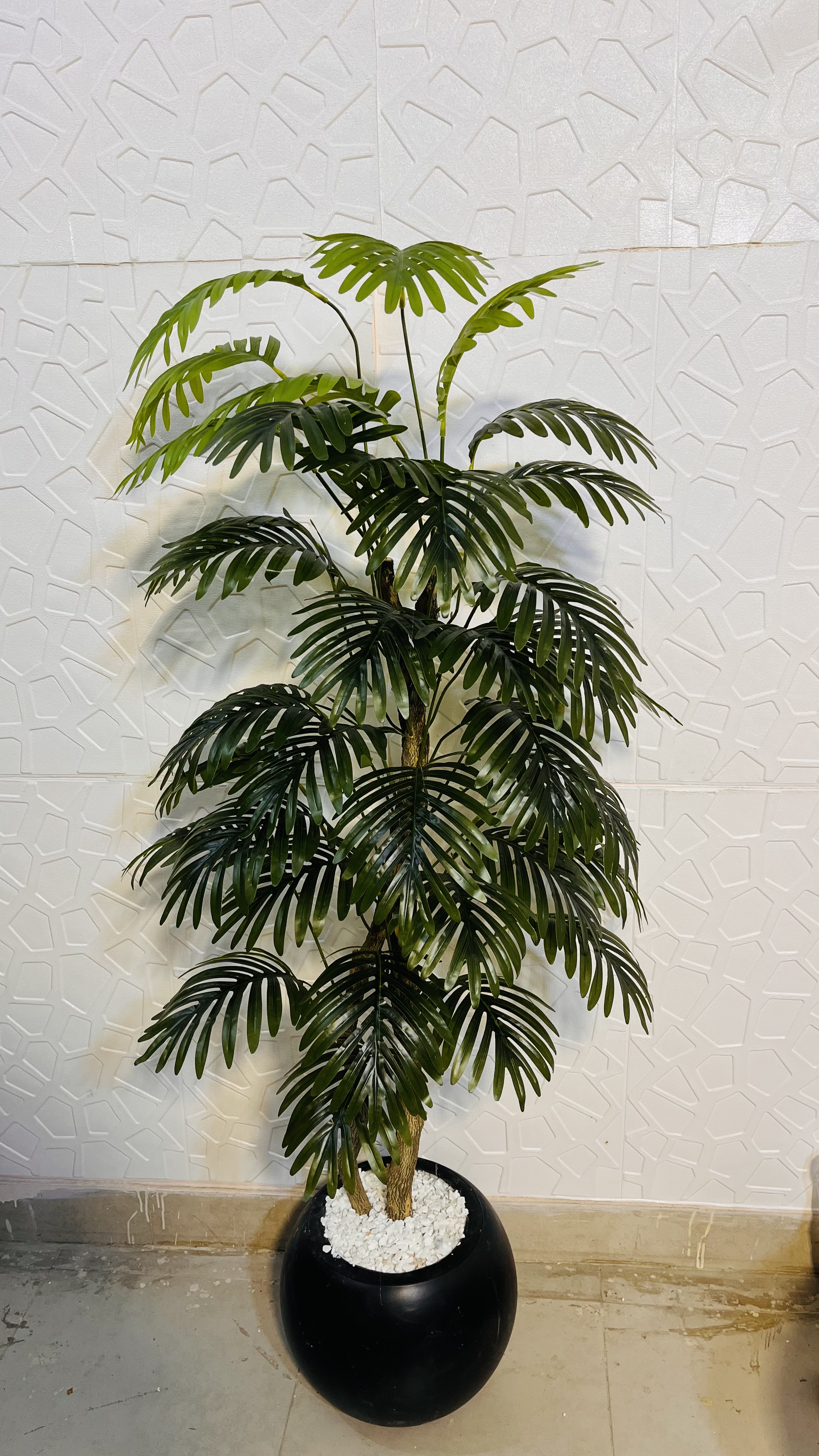 5ft palm plant with pot and stones